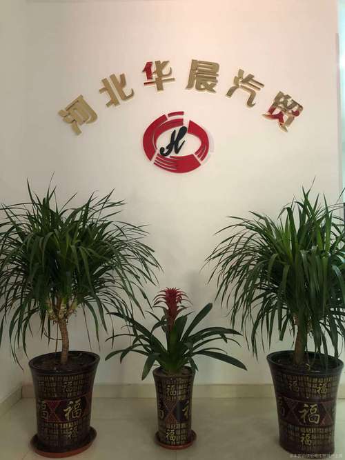 九座以上乘用車銷售策略與市場(chǎng)分析 超越傳統(tǒng)汽車銷售的新藍(lán)海